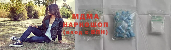 хмурый Пересвет