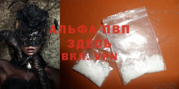 ПСИЛОЦИБИНОВЫЕ ГРИБЫ Абаза