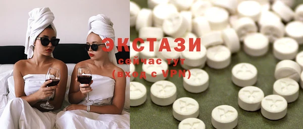 хмурый Пересвет