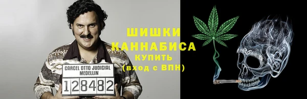 ПСИЛОЦИБИНОВЫЕ ГРИБЫ Абаза