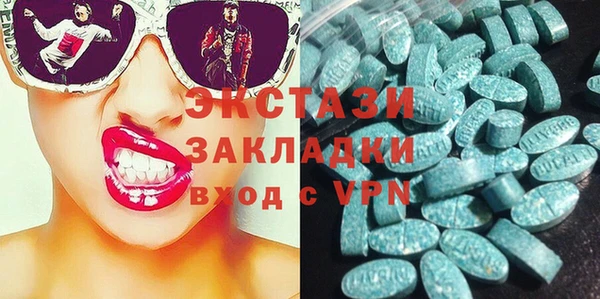 хмурый Пересвет