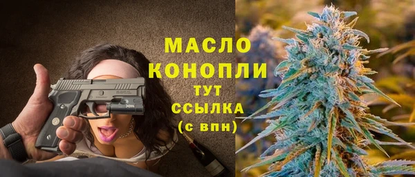 хмурый Пересвет
