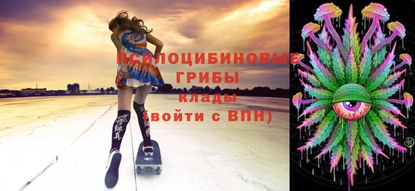 PSILOCYBIN Абдулино