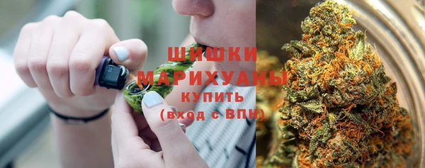 хмурый Пересвет