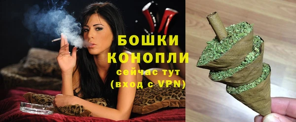 хмурый Пересвет