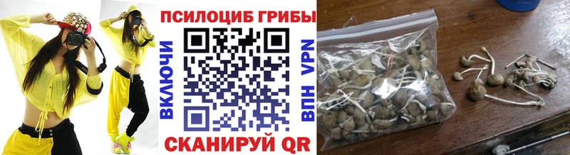 Галлюциногенные грибы MAGIC MUSHROOMS OMG ссылки Торопец закладка